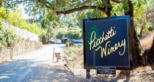 *San Jose* PTOS Wine Tasting + Picnic